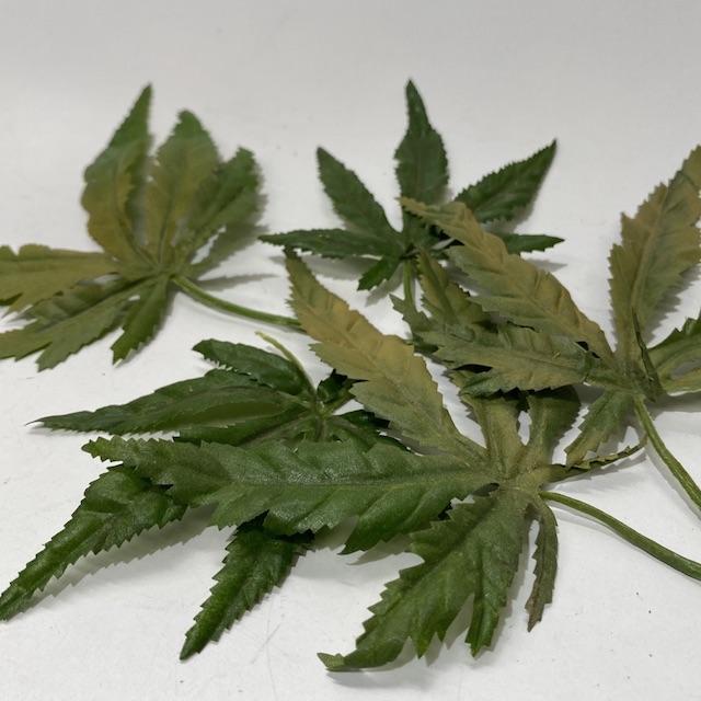 GREENERY, Marijuana Plant - Leaf